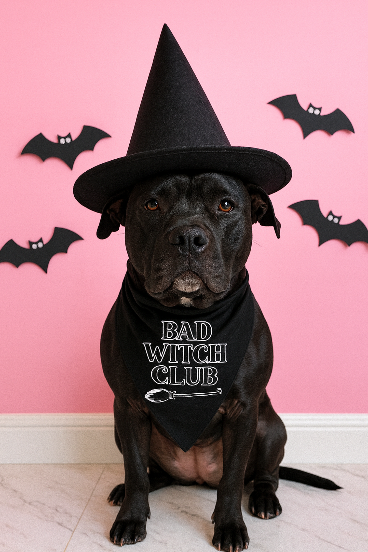 Bad Witch Club Dog Bandana