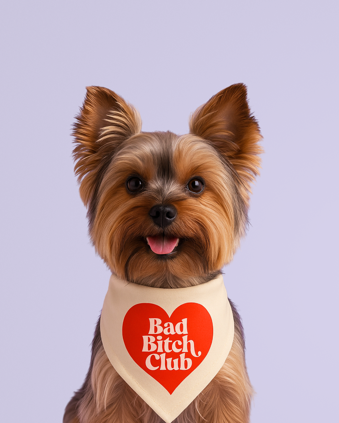 Bad Bitch Club Dog Bandana