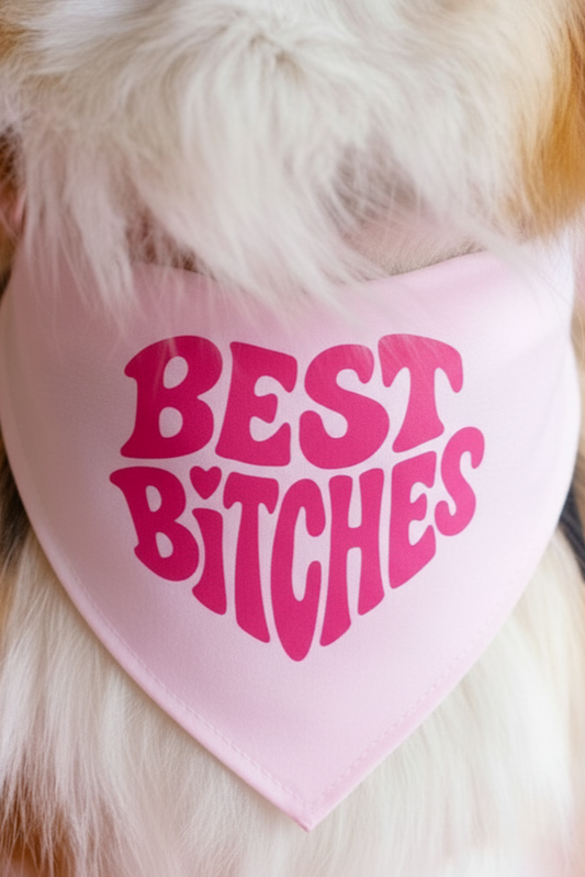 Dog wearing a pink bandana with 'BEST BITCHES' text on a pink background