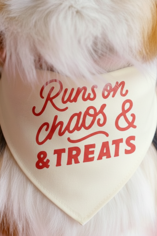 Dog wearing a bandana with 'Runs on chaos & treats' text