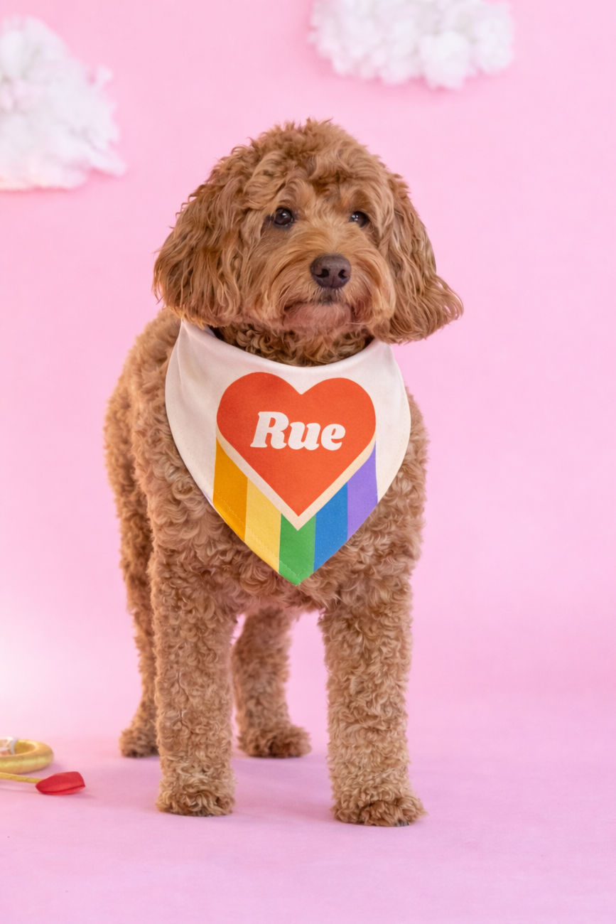 Retro Rainbow Heart Personalized Bandana
