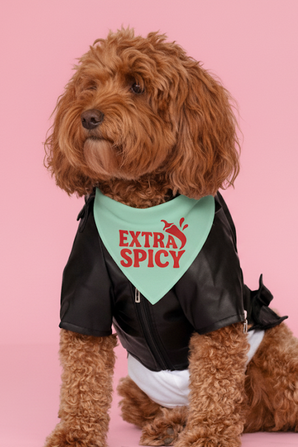 Extra Spicy Dog Bandana