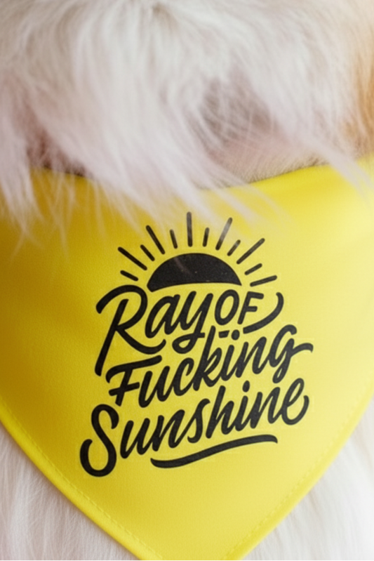 Ray of Fucking Sunshine Dog Bandana