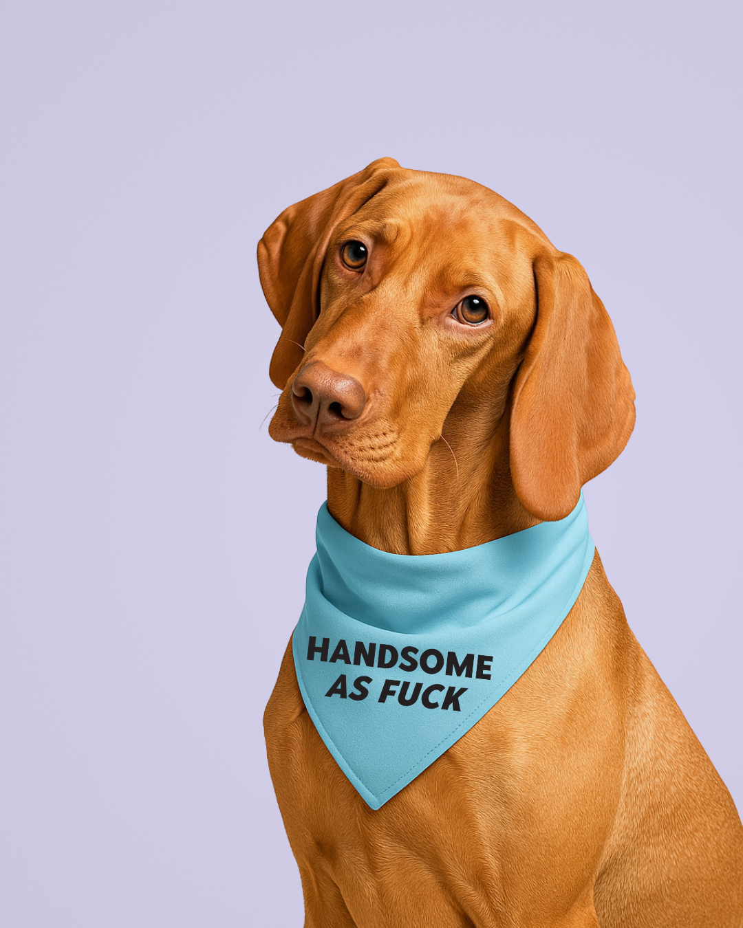 Handsome as Fuck Dog Bandana