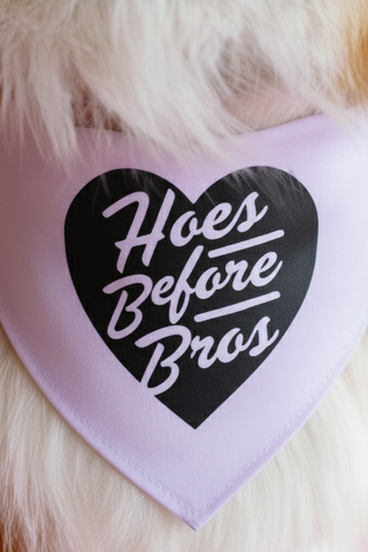 Hoes Before Bros Dog Bandana