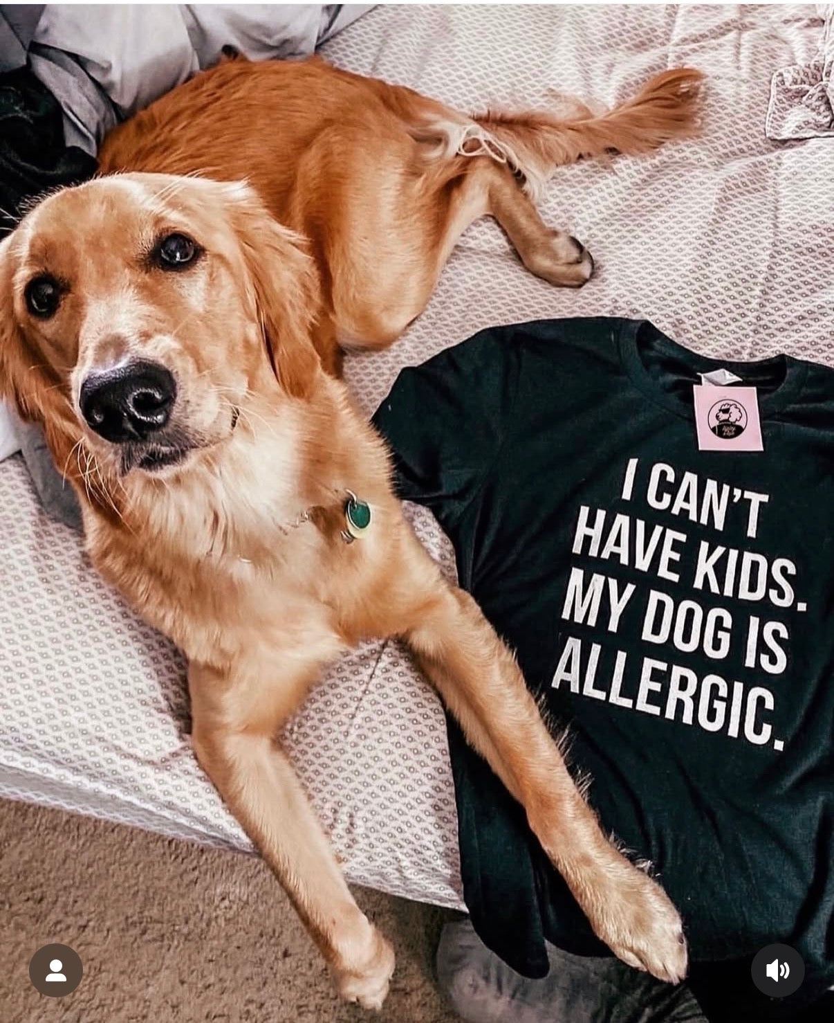 I Can't Have Kids, My Dog Is Allergic T-Shirt