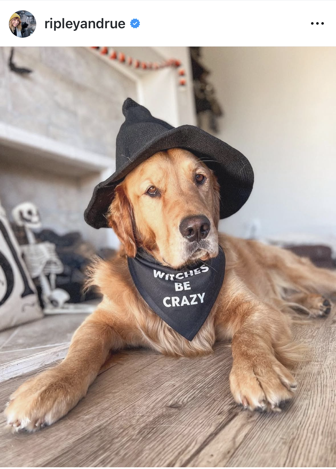 Witches Be Crazy Dog Bandana