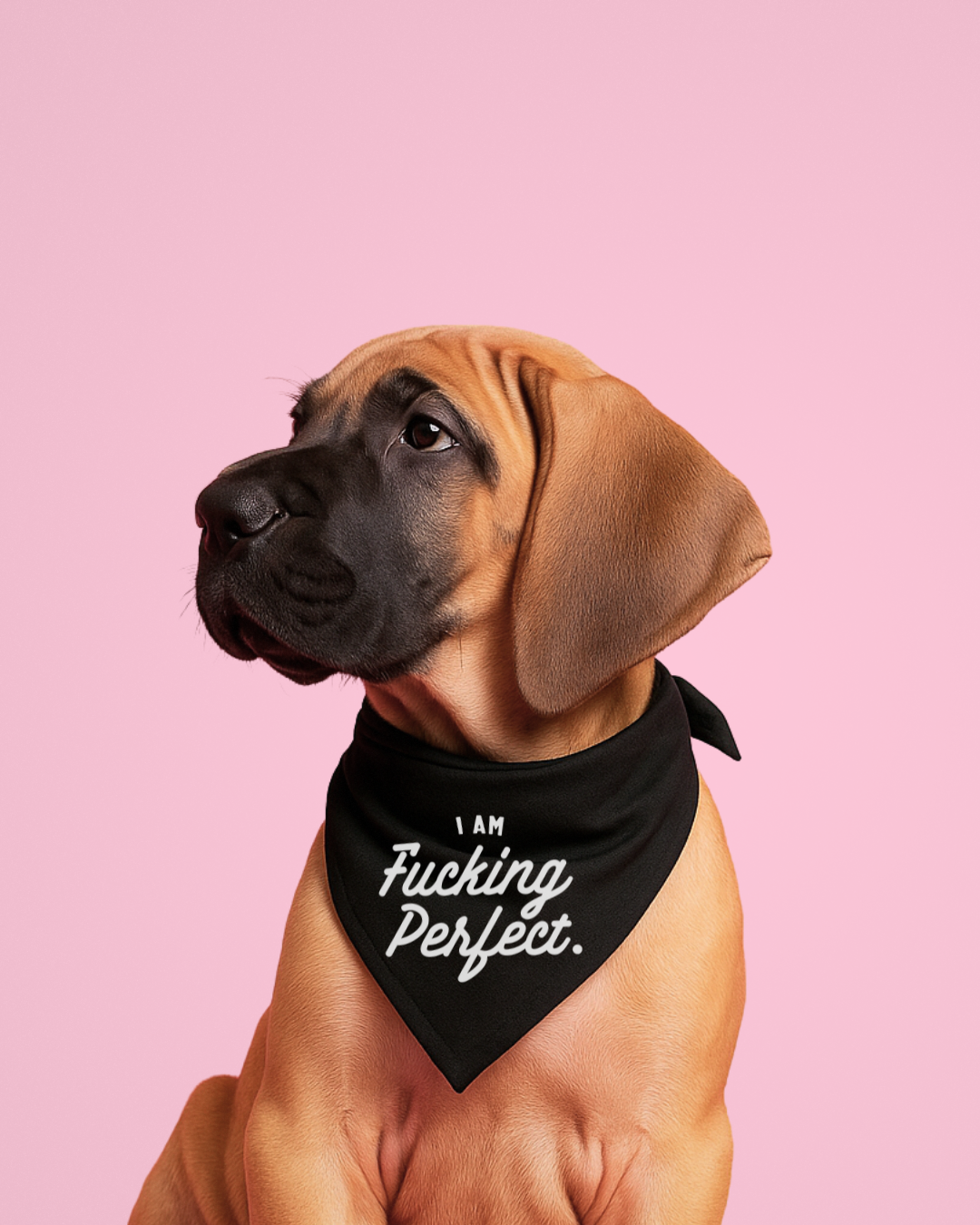 I Am Fucking Perfect Dog Bandana