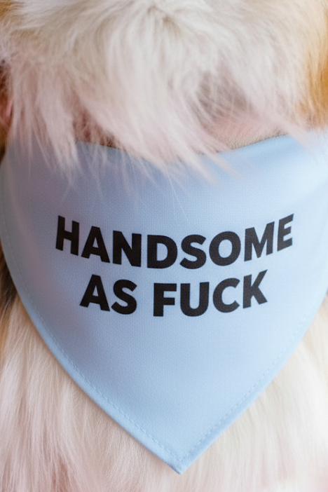 Handsome as Fuck Dog Bandana