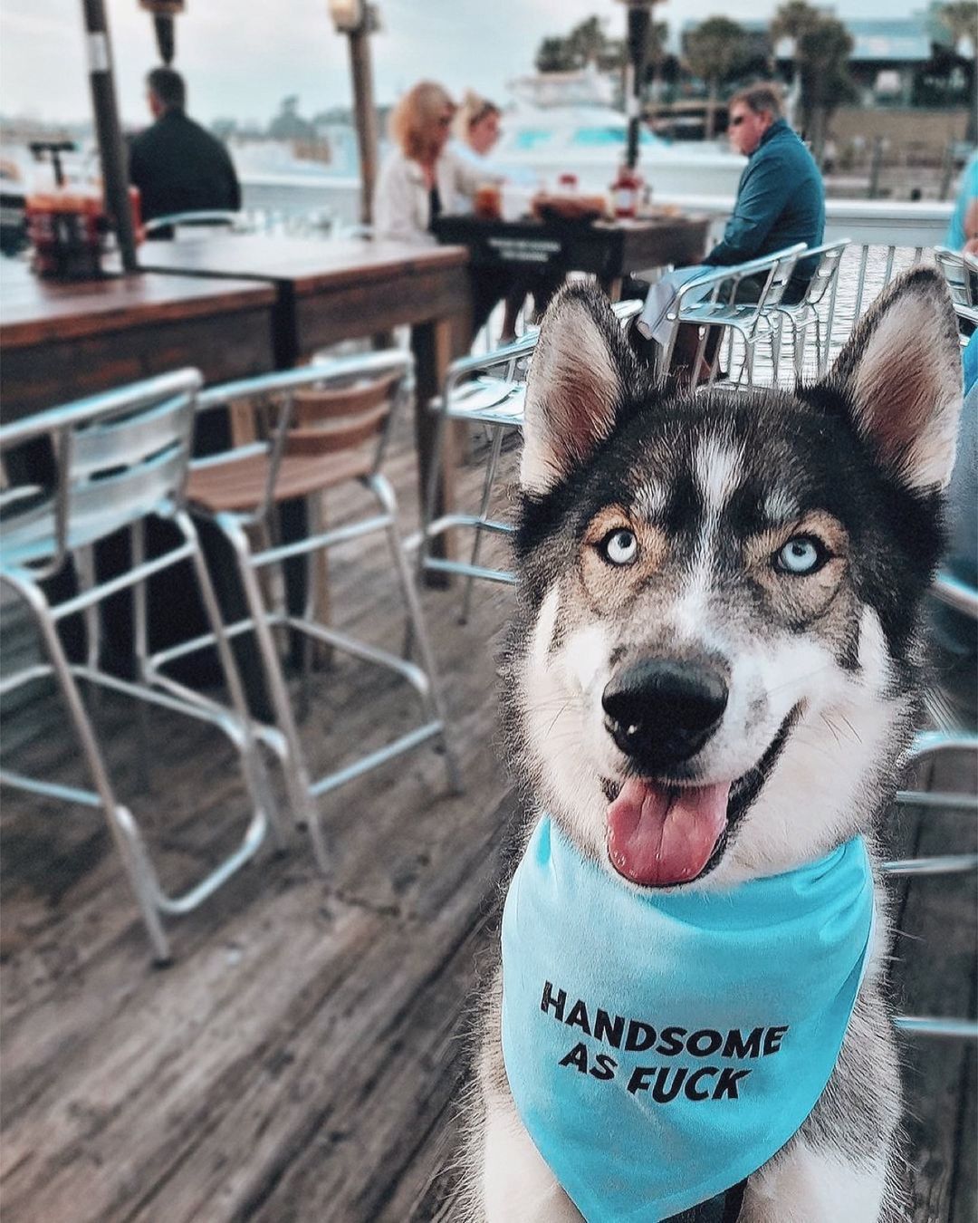 Handsome as Fuck Dog Bandana