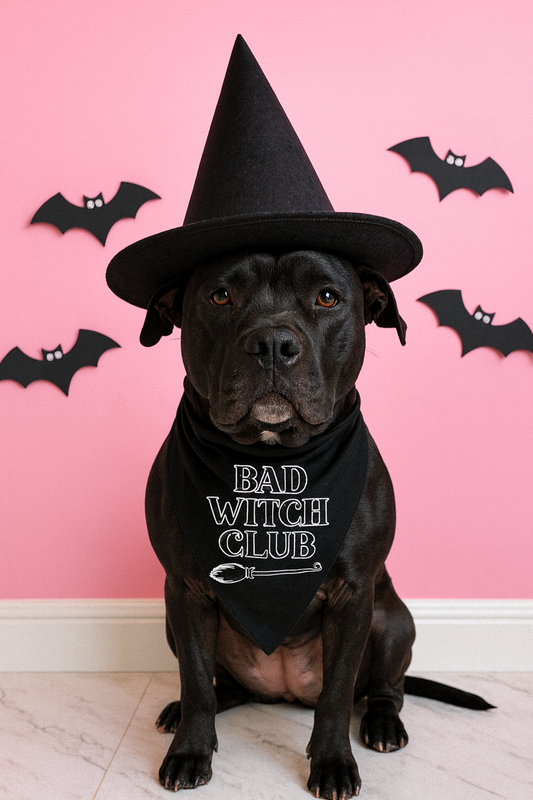 Bad Witch Club Dog Bandana