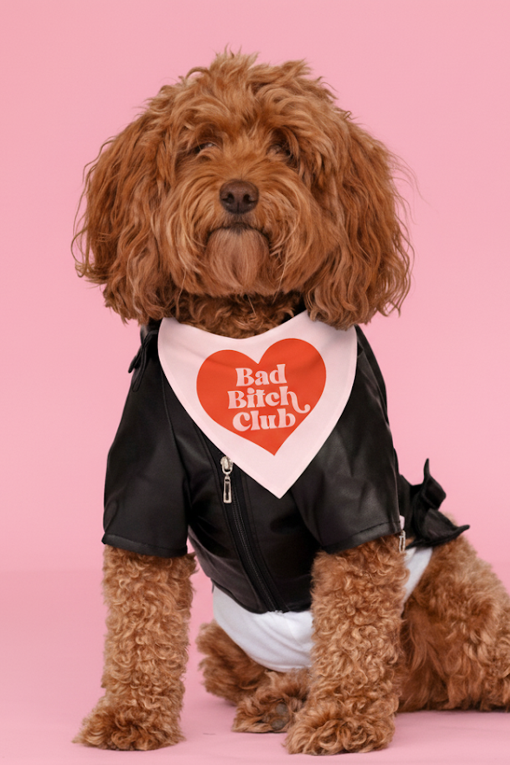 Bad Bitch Club Dog Bandana