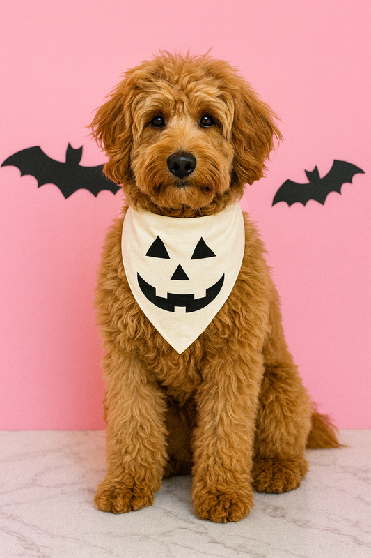 Oatmeal Jack O' Lantern Dog Bandana 🎃