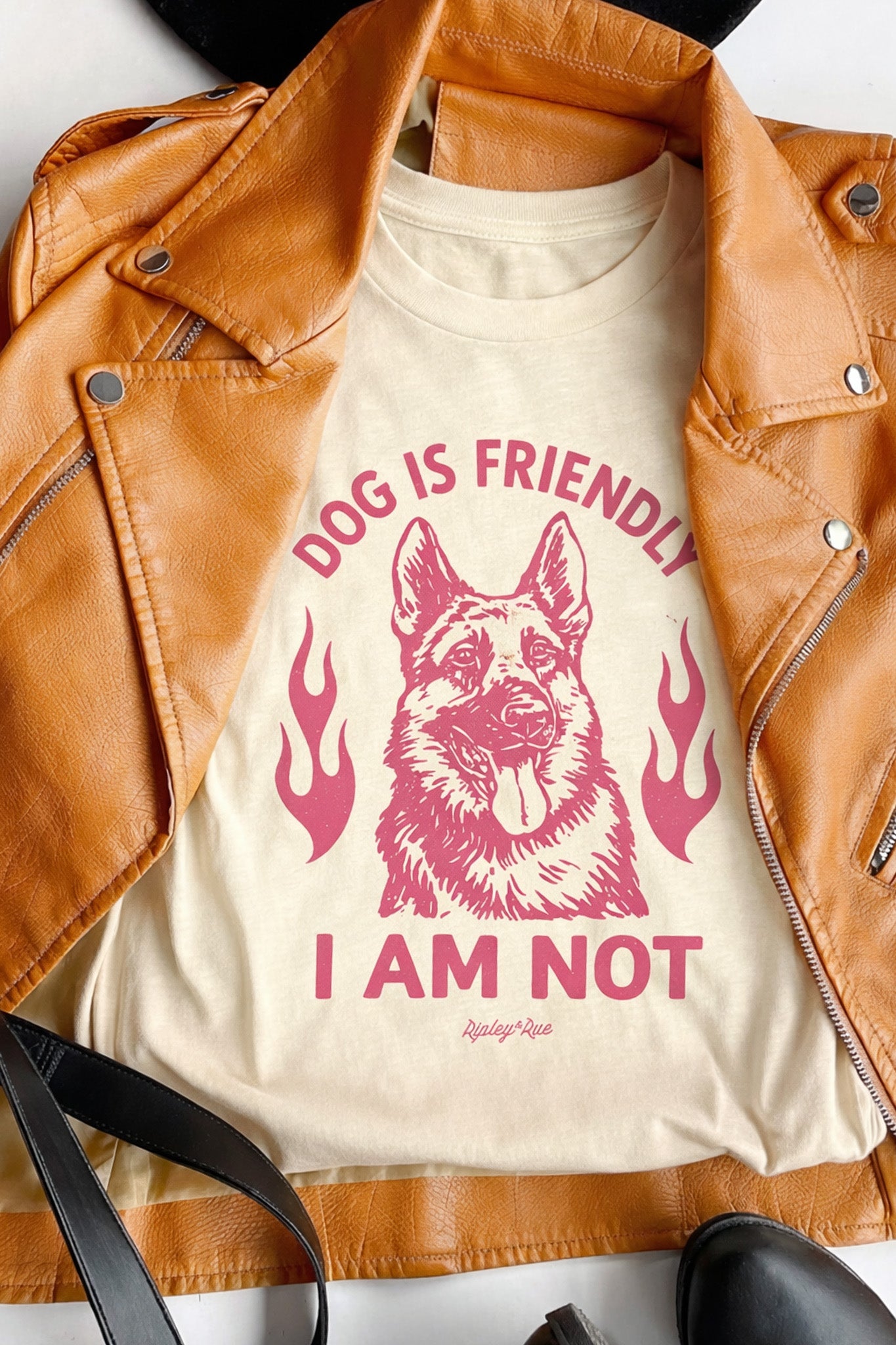 Dog is Friendly. I Am Not. Custom T-shirt