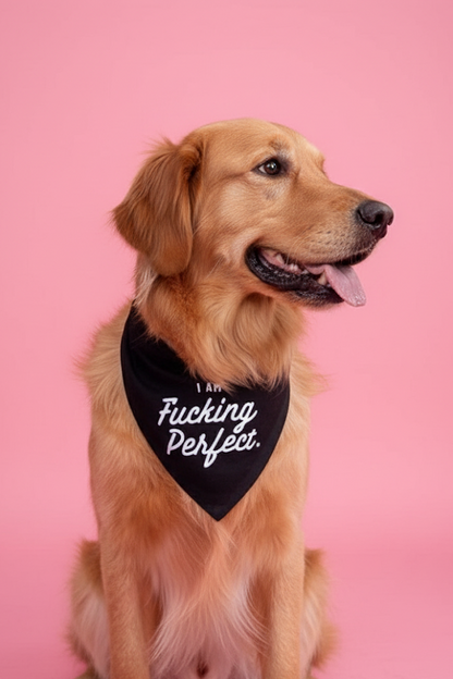 I Am Fucking Perfect Dog Bandana