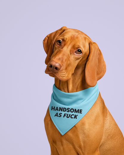 Handsome as Fuck Dog Bandana