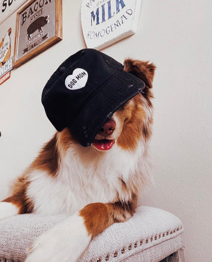 Dog Mom Heart Distressed Hat