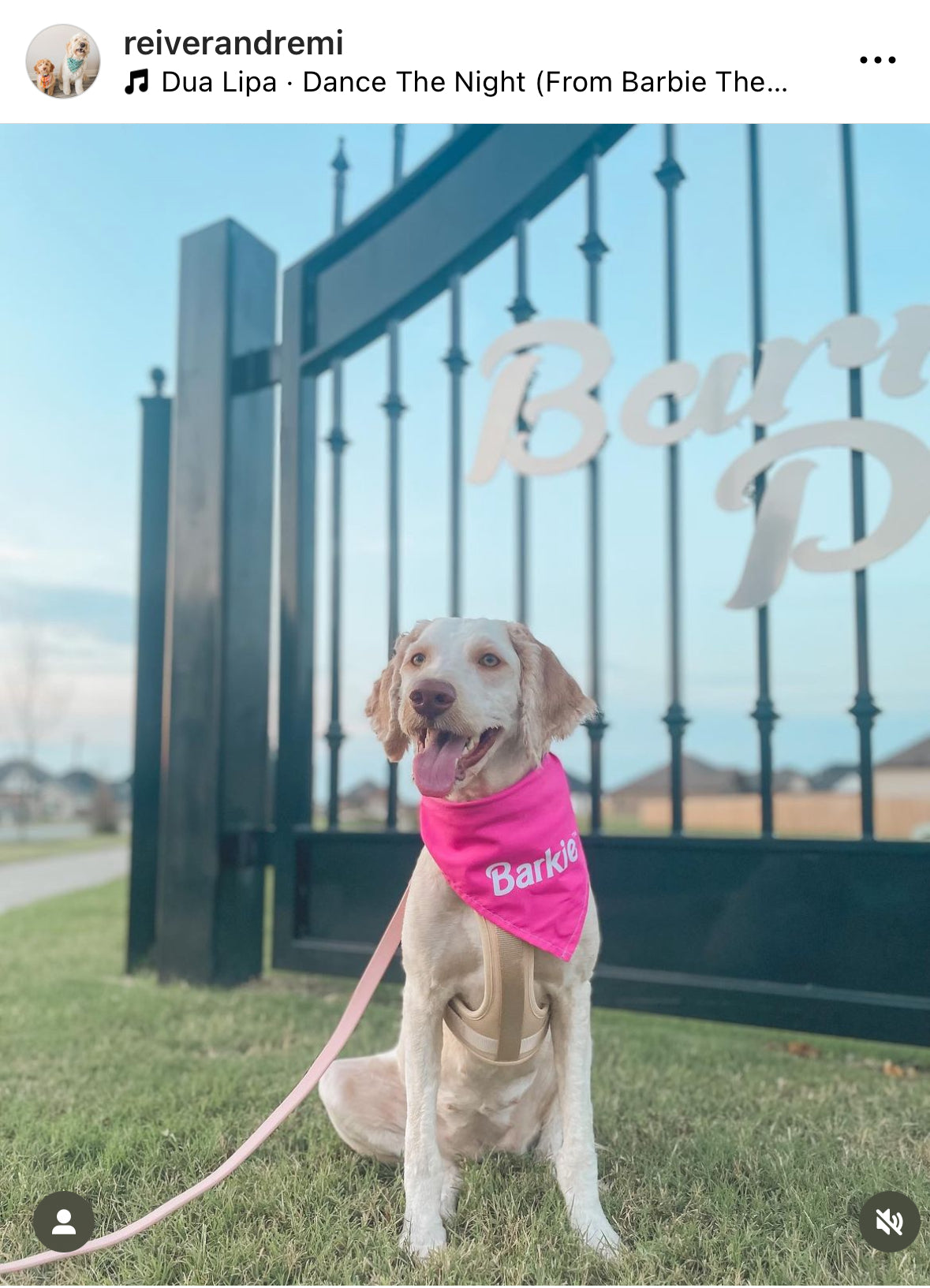 Barkie™ Dog Bandana