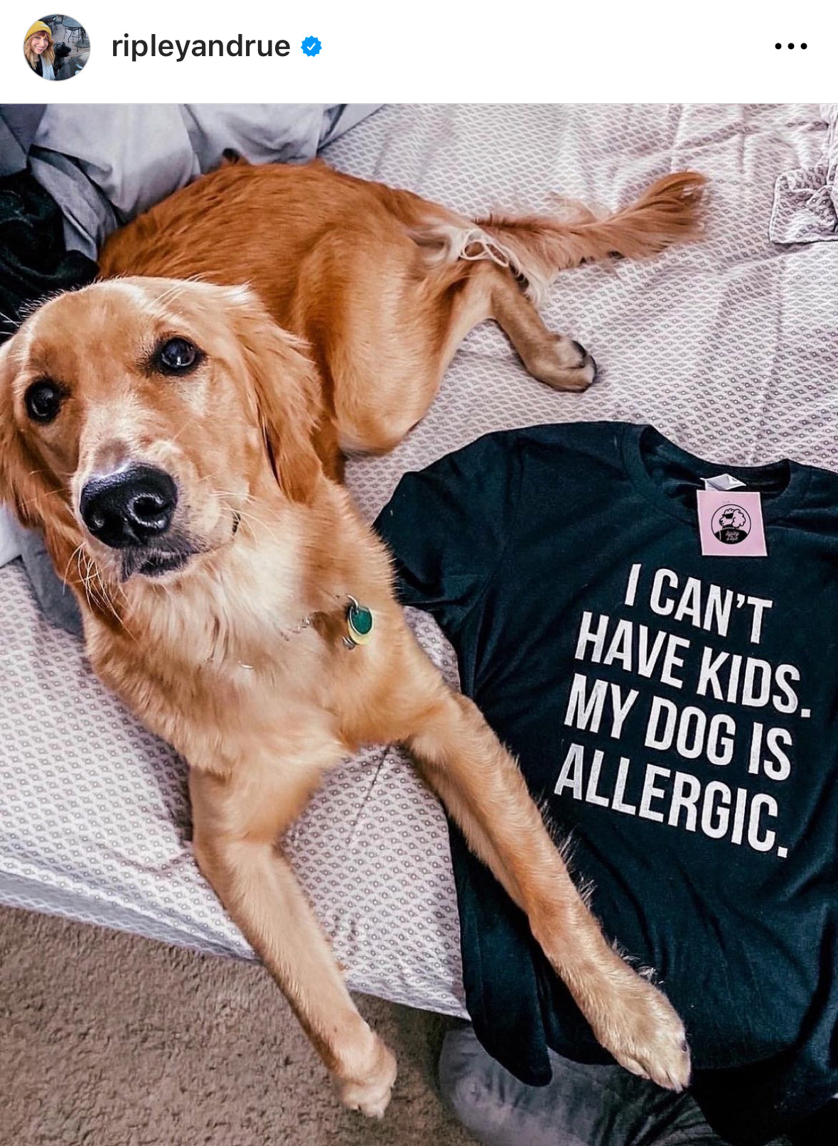 Best-Seller ⚡ I Can't Have Kids. My Dog Is Allergic. Tee