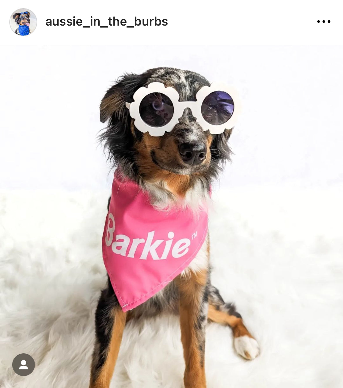 Barkie™ Dog Bandana