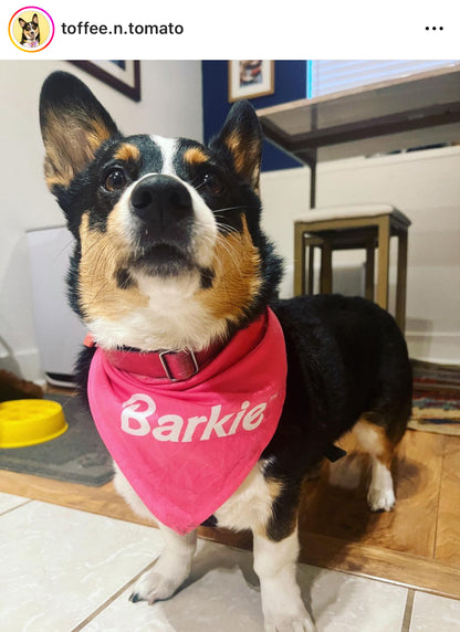 Barkie™ Dog Bandana