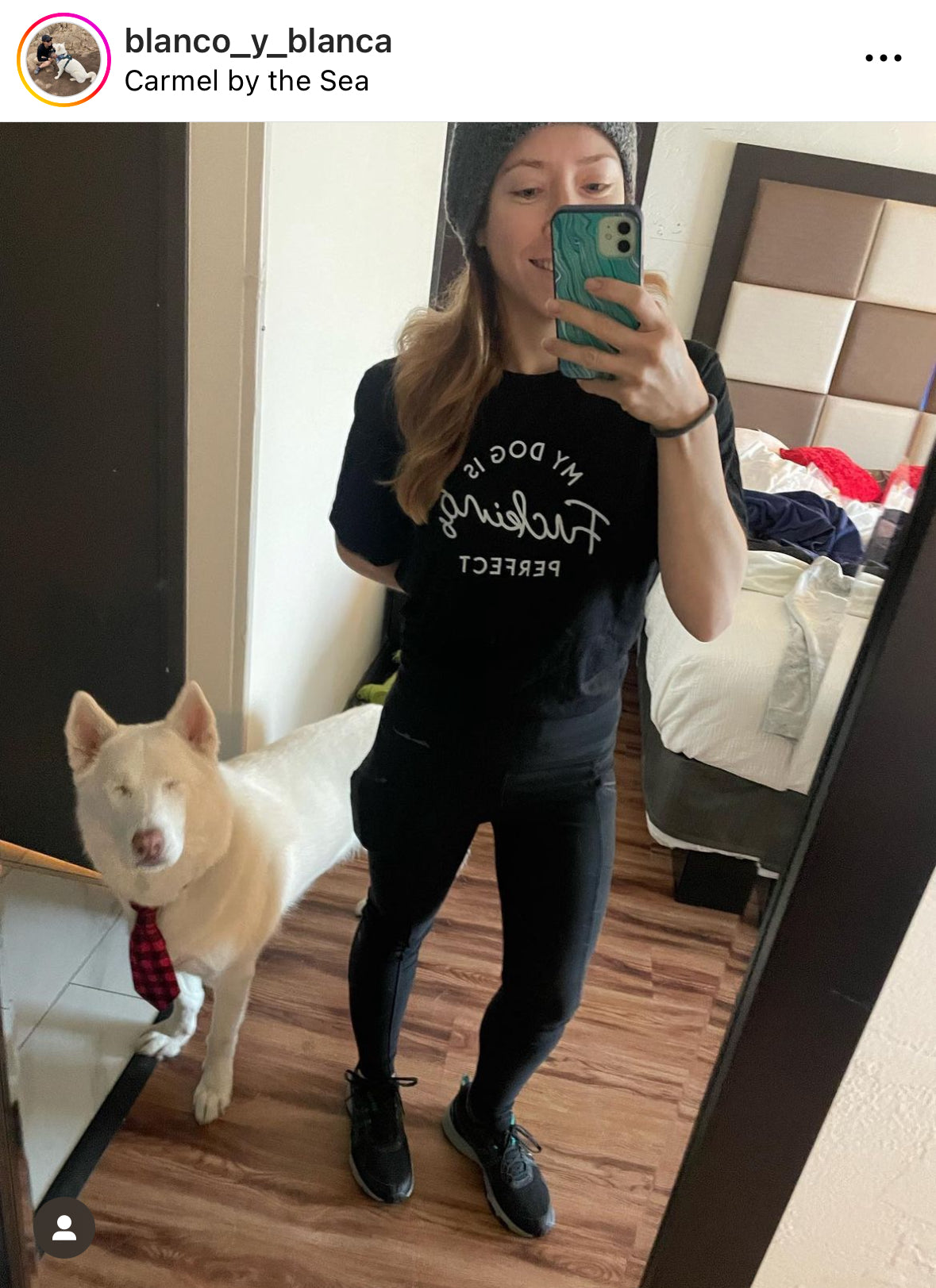 Best-Seller ⚡ My Dog is Fucking Perfect Tee – Ripley & Rue