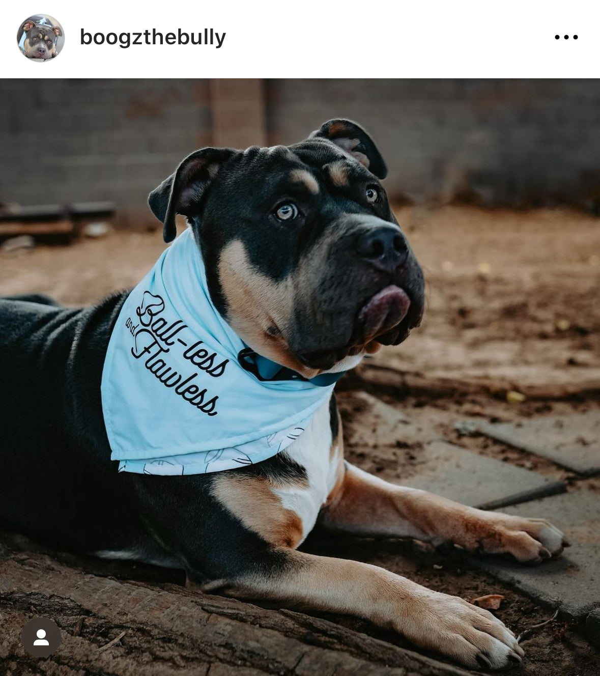 Ball-less & Flawless Dog Bandana