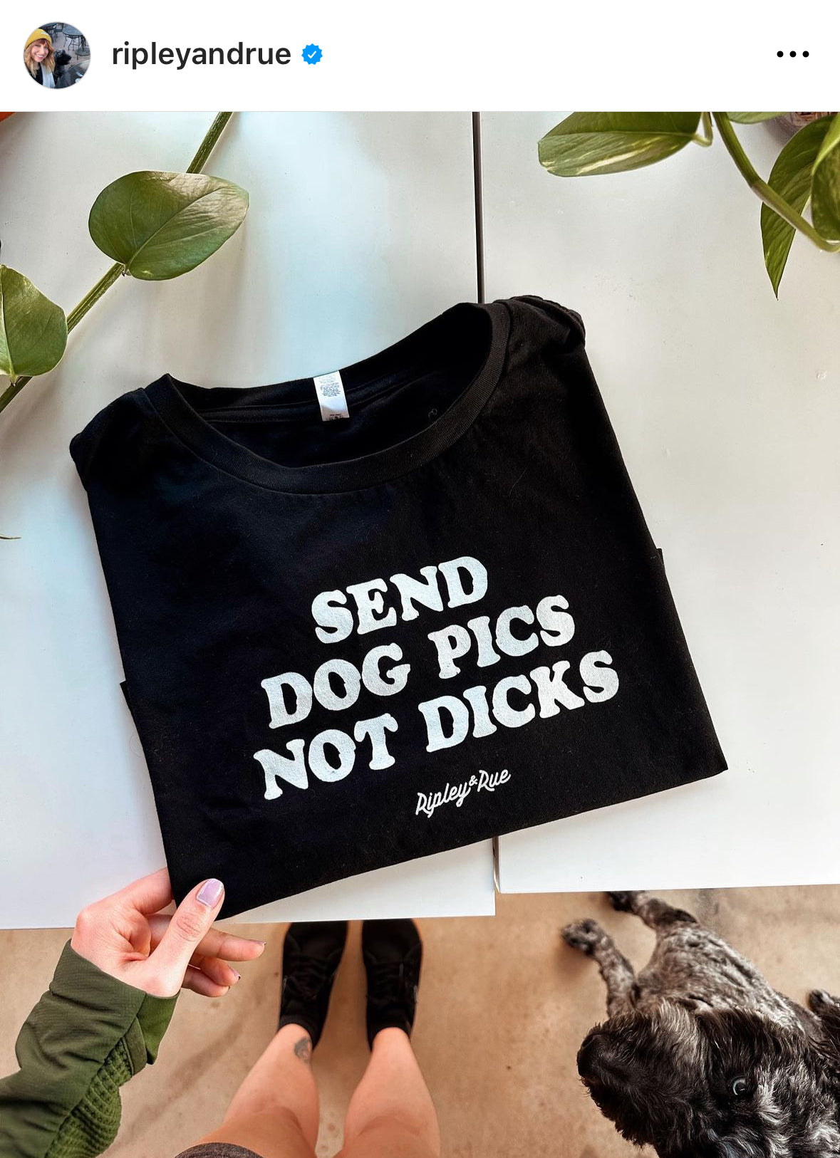 Send Dog Pics, Not Dicks Tee