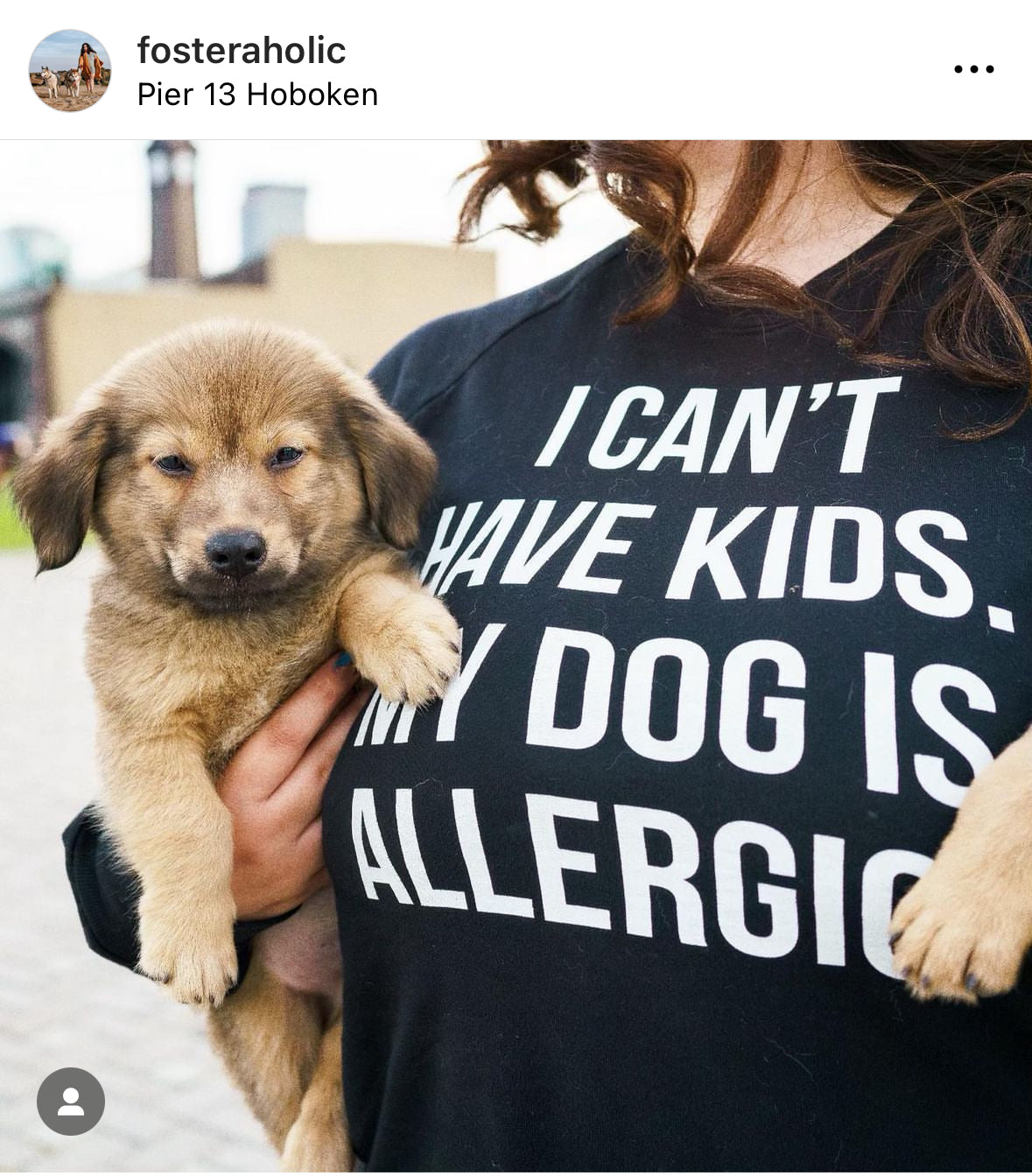 I Can't Have Kids. My Dog Is Allergic. Unisex Sweatshirt