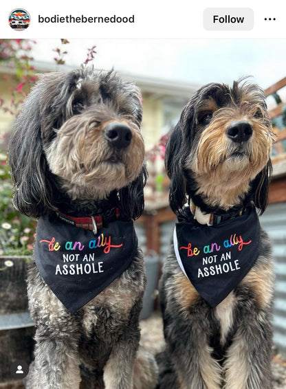 Be an Ally, Not An Asshole Dog Bandana