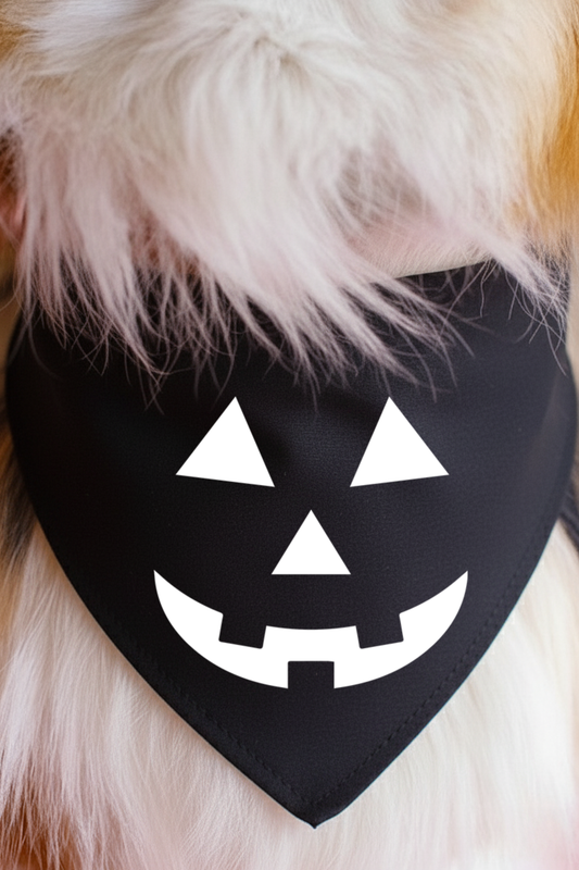 Midnight Jack O' Lantern Dog Bandana