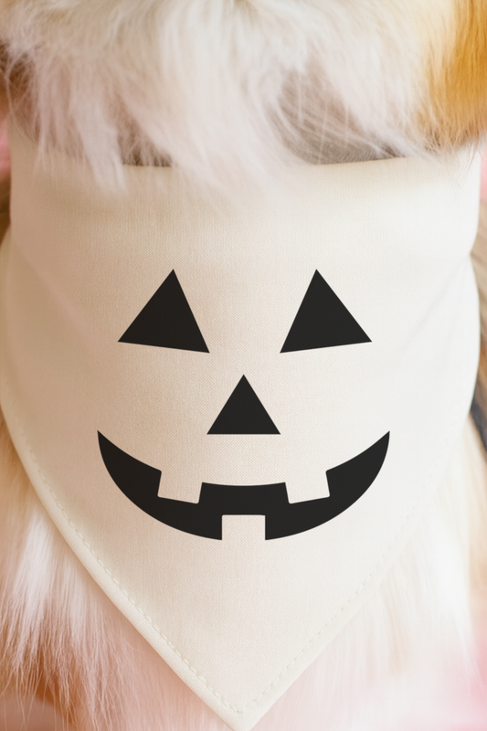 Oatmeal Jack O' Lantern Dog Bandana 🎃