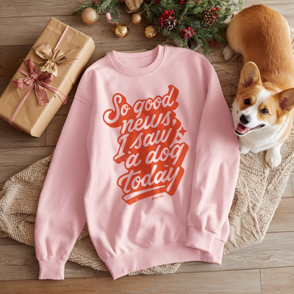 So Good News, I Saw A Dog Today Sweatshirt