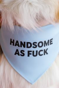 Handsome as Fuck Dog Bandana