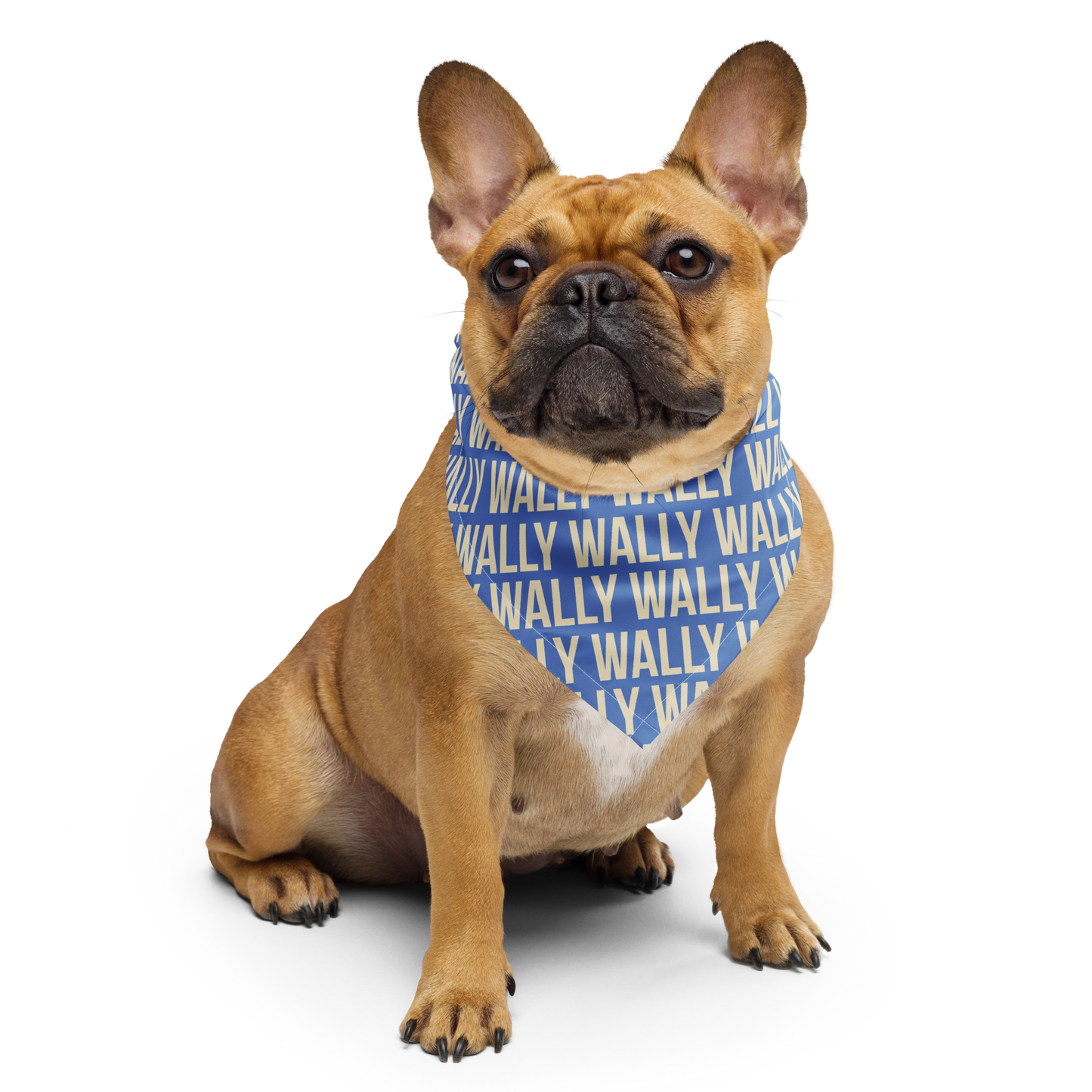 Personalized Blue & Cream Dog Bandana