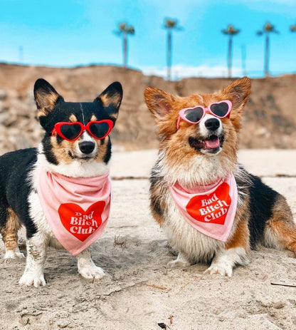 Bad Bitch Club Dog Bandana