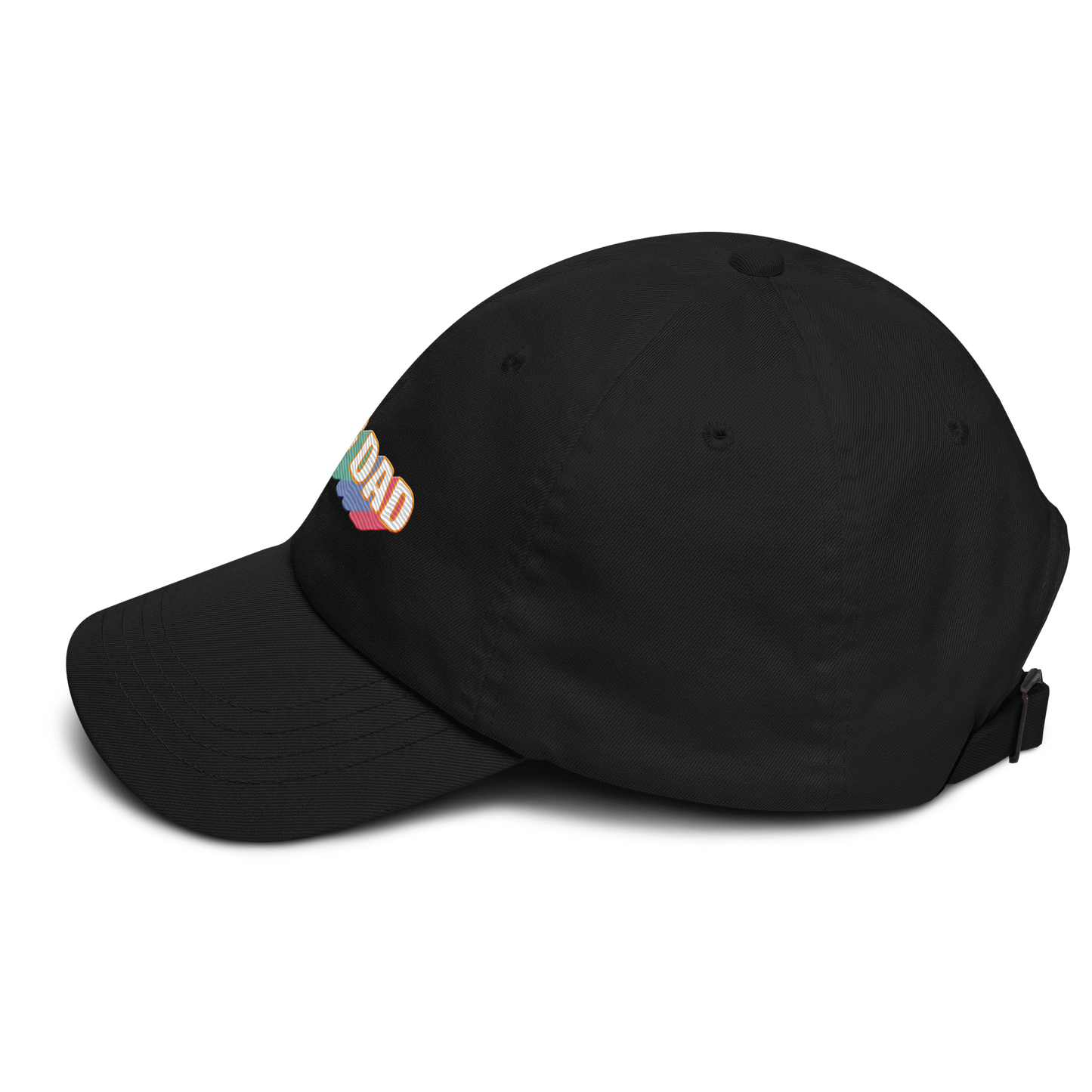 Dog Dad Rainbow Hat