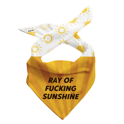 Ray of Fucking Sunshine Dog Bandana